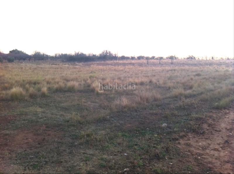 Foto a03ca8e0-3b88-4cda-bf31-5d8e4ce8dd4c. Finca rústica a Vall d´Alba