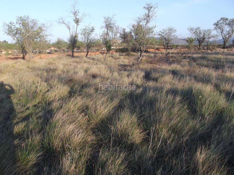 Foto 24378703-cd0e-45da-8202-0154b45873b9. Fondo rustico in Vall d´Alba