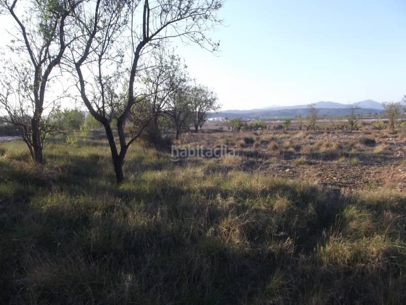 Foto a4bf5f1d-eaf2-4511-9cd7-5e9723fec89e. Fondo rustico in Vall d´Alba