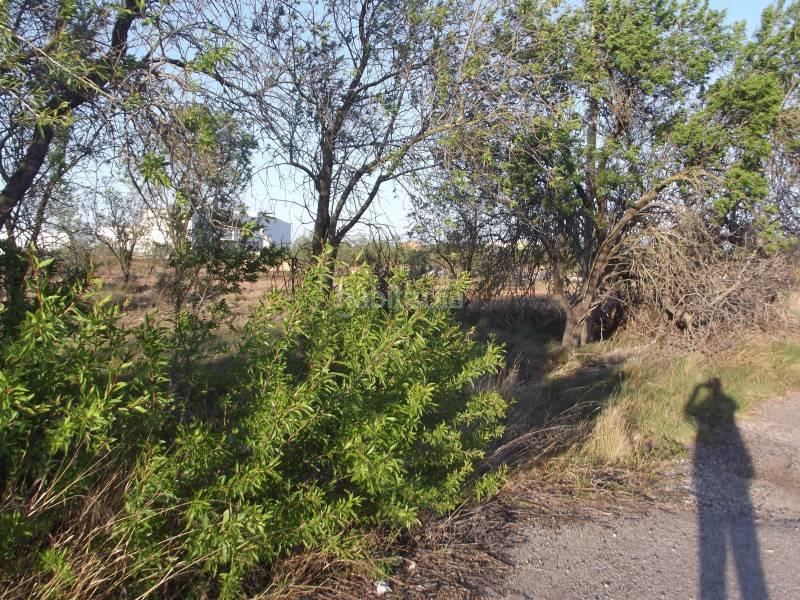 Foto ca551f32-db22-4058-9489-349f56a00041. Fondo rustico in Vall d´Alba