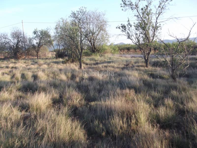 Foto e2afc81c-8198-43d5-8d37-39be933b4a46. Fondo rustico in Vall d´Alba