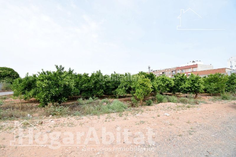 Foto e0498448-9bf9-4354-a30d-078ad6caf818. Terreny residencial a Nules