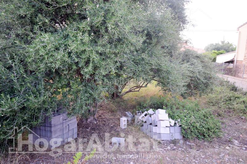 Foto 37a58993-56a2-4361-a764-e676bbe10978. Terreno residenziale in Playa Burriana