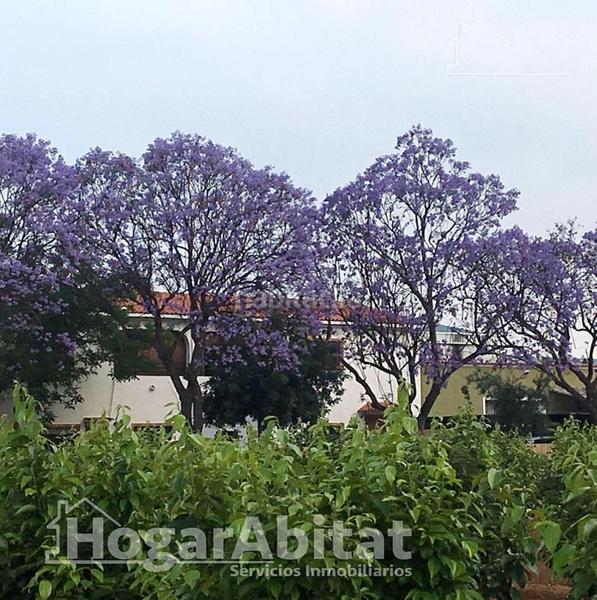 Foto 27bb238d-907f-4d25-94b1-c034fa63c987. Chalet with heating parking pool in Carcaixent