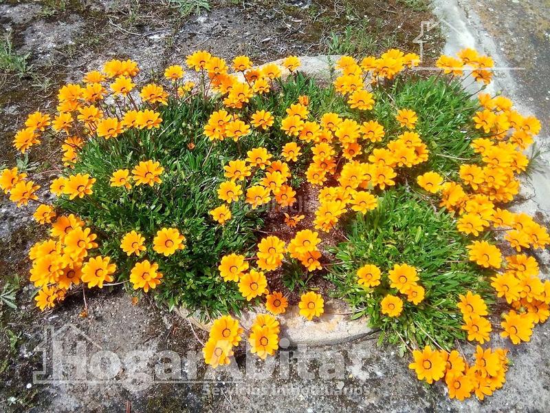 Foto 9791b6cd-a224-4dcd-9426-774b43d8dd37. Xalet amb calefacció aparcament piscina a pedanías de Badajoz Badajoz