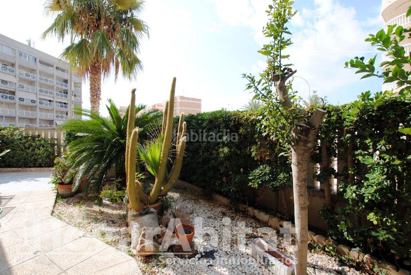 Foto 8f8fff7c-e0d5-4a6c-9478-6323d625a3e1. Piso segunda línea de playa! exterior con piscina, garaje y terraza en Daimús