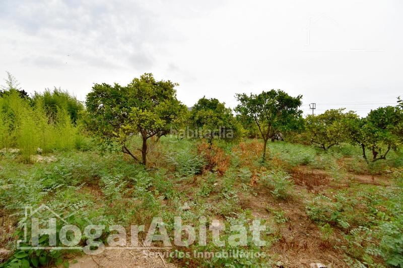 Foto f0d63dc2-5d60-4e41-b36f-f4e7bd07a258. Xalet amb aparcament a Bulevar del Xúquer Cullera