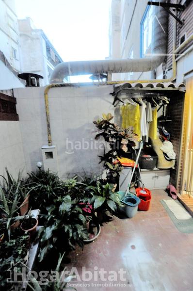 Foto 30ddc81a-9c5e-4798-b36d-fb1e3d195933. Pis a El Botànic Valencia