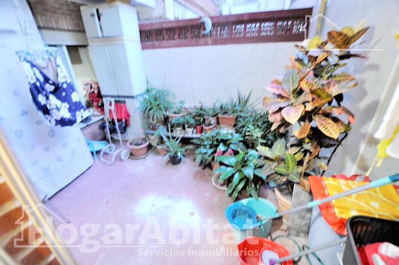 Foto 31fec9ab-b2c1-40c9-a9a8-e6c3d51c33bc. Pis a El Botànic Valencia