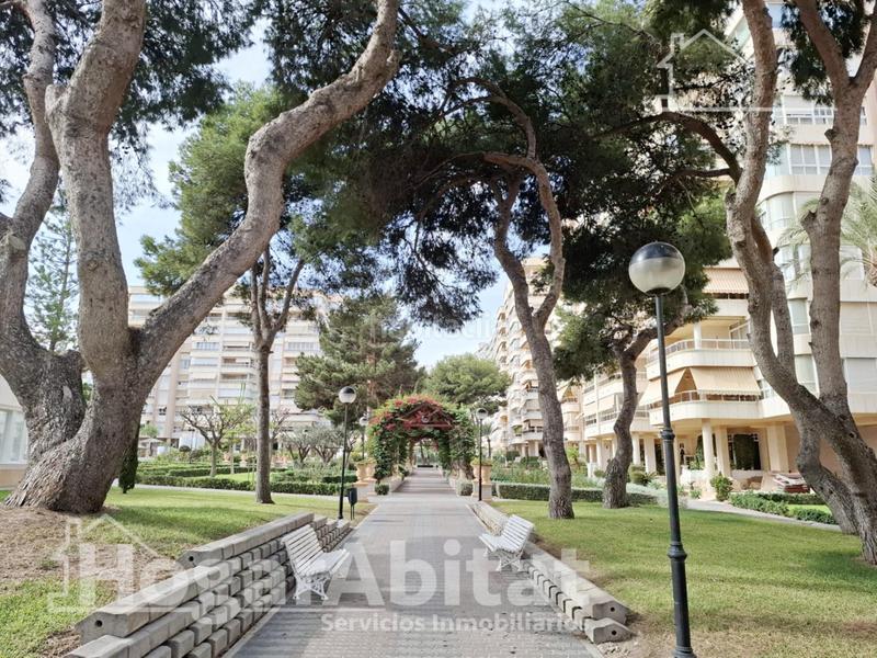 Foto ea594428-8631-4ff3-a803-56c40558cbc1. Pis amb calefacció aparcament piscina a Playa de San Juan Alicante