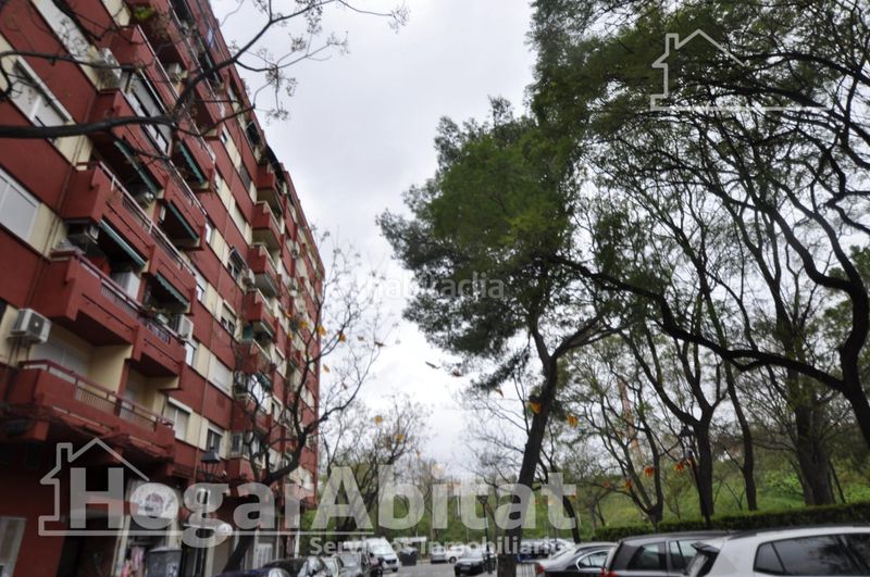 Foto 409aa474-e1a3-4b56-ad86-680e4512646a. Pis a Sant Isidre Valencia