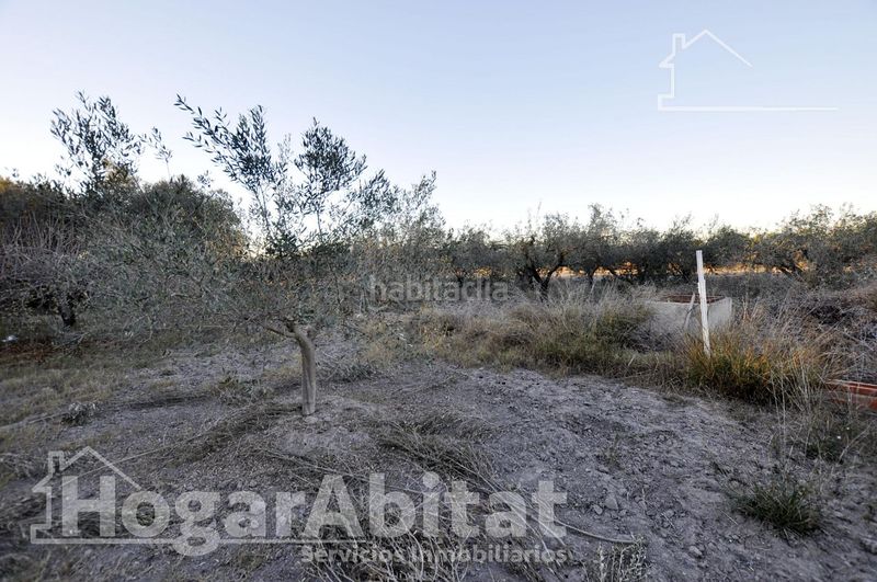 Foto 16e9aa2f-37c8-4a1f-9872-552522bd4b1a. Xalet amb aparcament piscina a Corinto-Almardà Sagunt