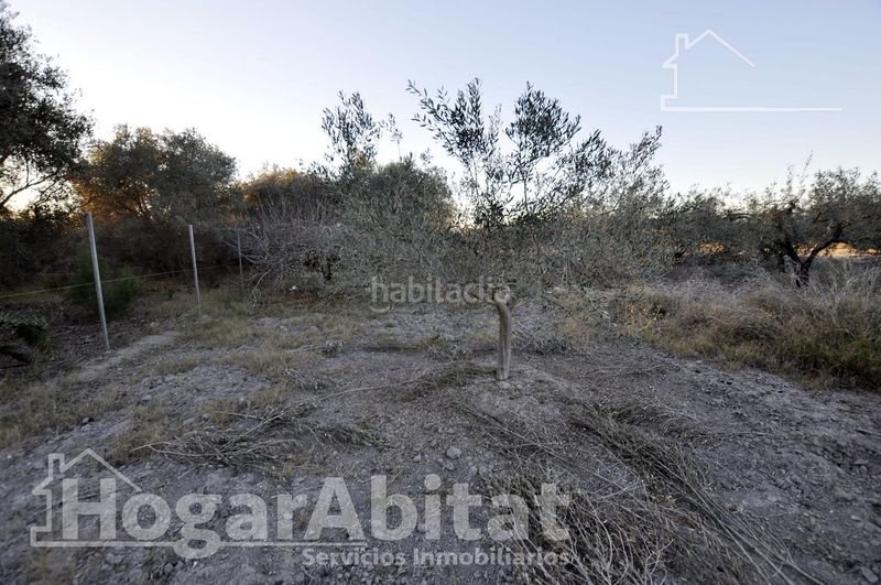 Foto 64d52e72-9313-4b72-86ba-bf8dbdaef486. Xalet amb aparcament piscina a Corinto-Almardà Sagunt