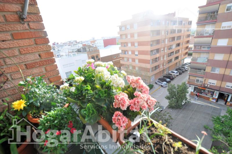 Foto b53b9d85-bbcf-4c1d-b477-c9e059b2940c. Pis a Pobla de Farnals Pobla de Farnals (la)