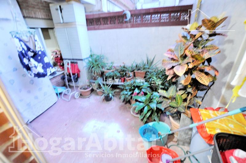 Foto 3109c062-58c2-40ed-8a3e-8f0442e96fc2. Pis a El Botànic Valencia