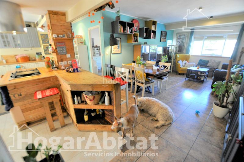 Foto cc56a5d6-d113-4c5d-8915-420229327d03. Pis a Sant Isidre Valencia