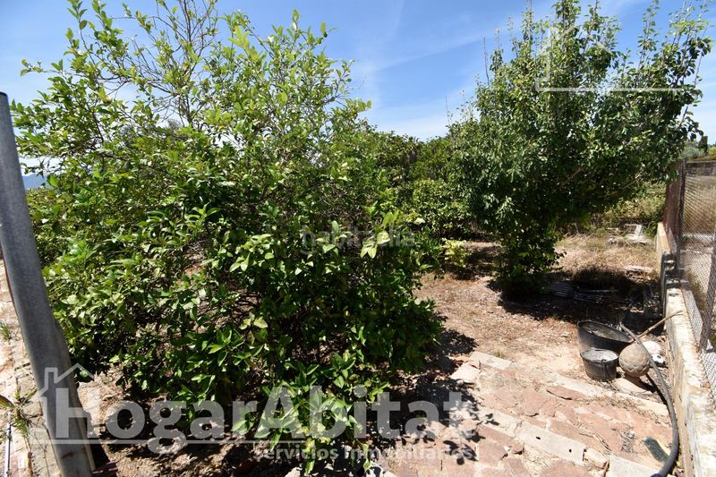 Foto 0475f223-6091-4bfb-addc-a383fe0d35da. Xalet amb aparcament piscina a Sueca Sueca