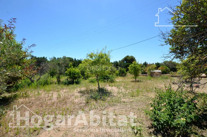 Foto 9850d41b-1685-40ce-b711-43618d1f8ae3. Xalet amb aparcament a El Marenyet Cullera