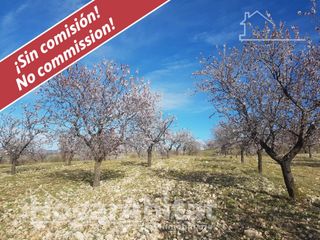 Chalet  Calle br campillo-fte gato polígono. Naturaleza, privacidad y gran producción agrícola en esta singul