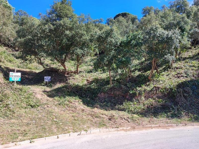 Foto f684fa38-e01d-4740-8bac-5463be873a4a. Terreny residencial a Aiguaviva Parc Vidreres