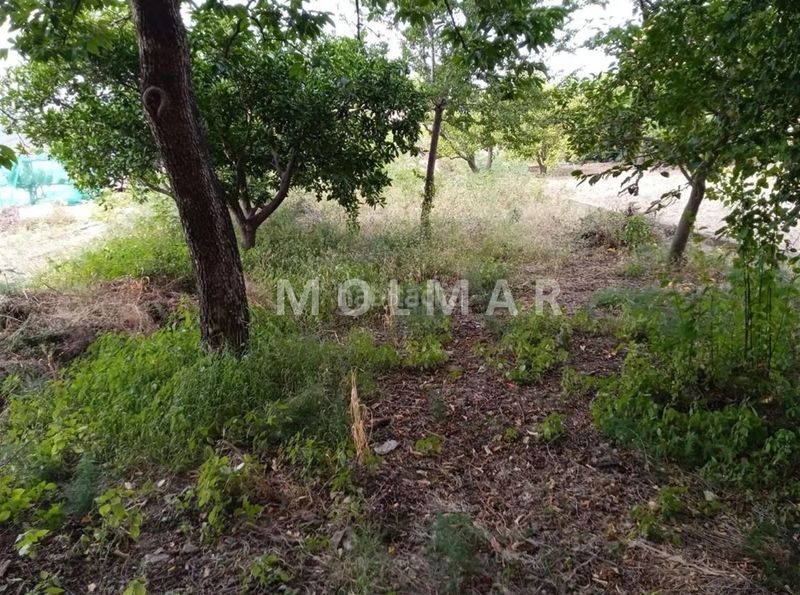Foto 0a58dcc9-0ade-49e4-9d10-522a020a245b. Flat in Segorbe