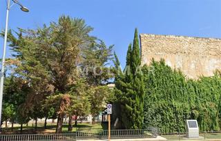 Xalet a Carcaixent