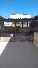 Appartement à Algemesí