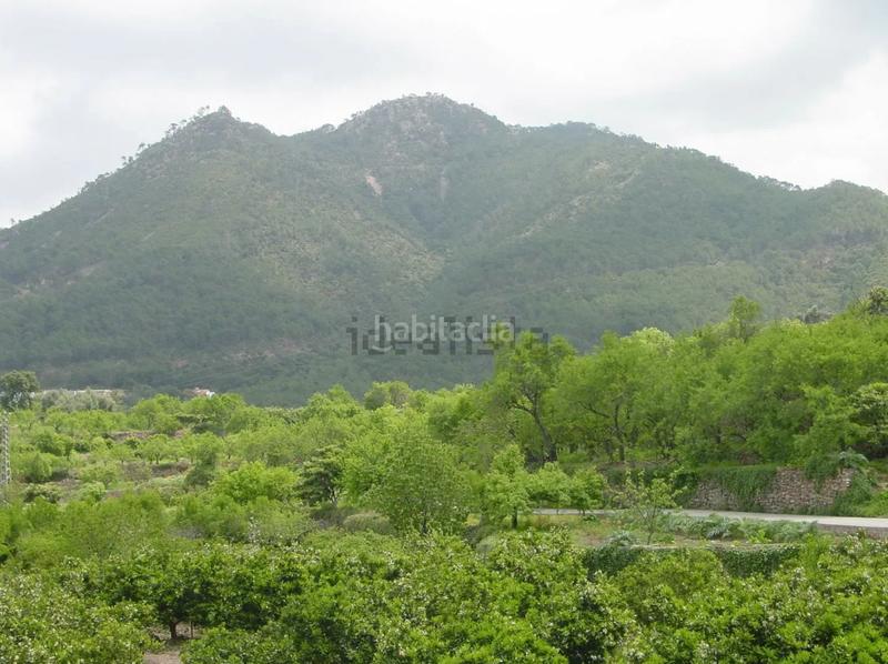 Foto 3bb6fccc-f639-413f-832a-6c57f7a6099b. Flat in Eslida