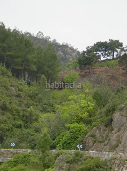 Foto 99847419-cc81-4928-a8bc-467666921d42. Pis a Eslida