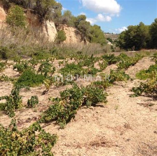 Foto 5e36e8b4-6b2b-4a3d-8c63-a0759f4d43fc. Masia a Teulada