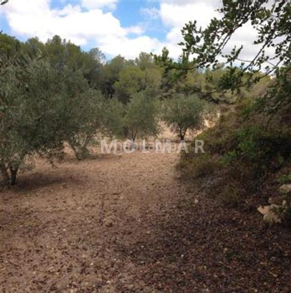 Foto b080cdee-7dd4-455c-9fe6-86470dbbd450. Masia a Teulada