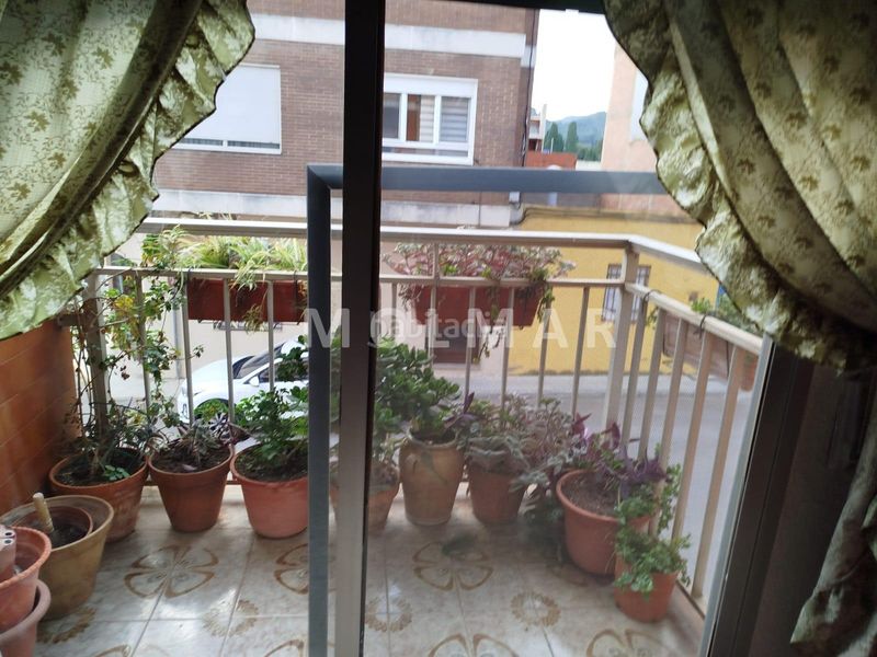 Foto 0d4ab18f-4b3d-41a0-a219-bbcce3a1e9c8. Pis a Betxí