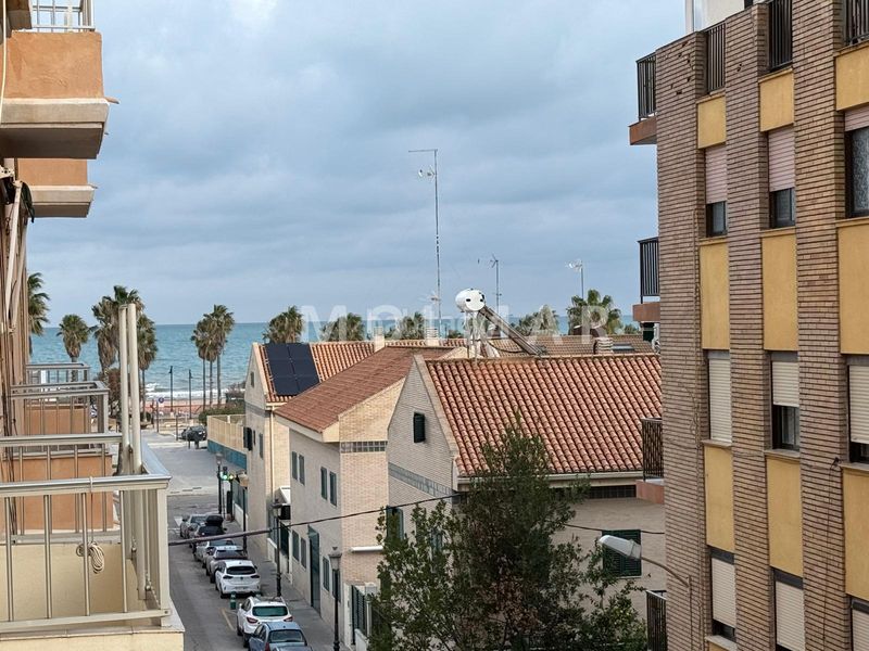 Foto 9e7db409-d514-43b3-b4ac-f23095834f66. Pis a Malva Rosa Valencia