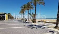 Foto b97002ea-5de0-483d-910d-71599696aaf7. Pis a Malva Rosa Valencia