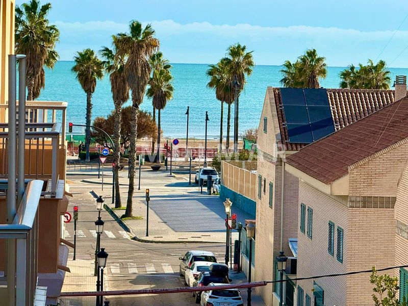 Foto ec749a76-c999-4617-91a1-2d17a208591e. Pis a Malva Rosa Valencia