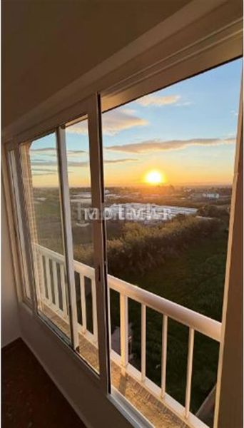 Foto 4cef49aa-773e-4dac-8a18-990fee8b8a89. Pis a Les Palmeres Sueca