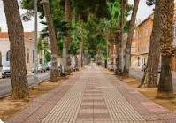 Foto fa18cfcd-17d8-4a06-81ea-919b96e2d18e. Pis a Guadassuar