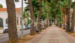 Foto 5a7c8959-4e7e-4baf-9ffd-095aefbeb03c. Pis a Guadassuar