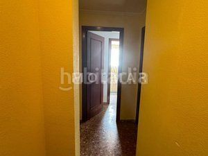 Foto 33b69c45-b30d-42d4-a964-be7fa00f04d3. Pis a Carcaixent