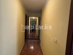 Foto bece1580-cd66-4bf7-be55-68b05ae89b48. Pis a Carcaixent