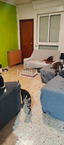 Foto 72231edf-c53b-404e-8f43-279efc6120ea. Pis a Canals