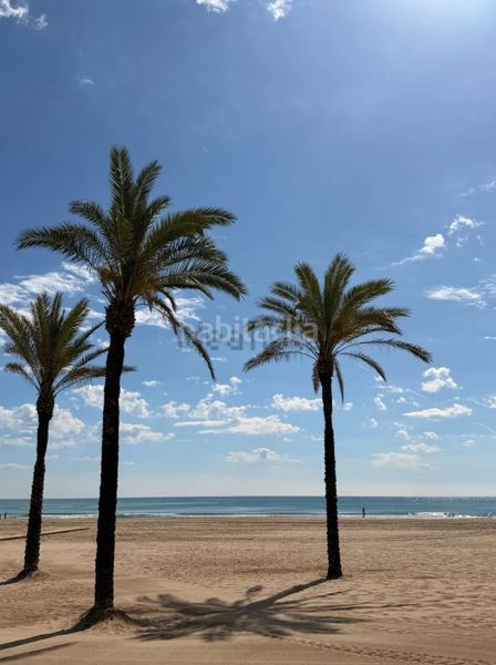 Foto 41a6b44b-15de-4d62-9a4a-c2c3b2fc7f7b. Pis a Sant Antoni Cullera