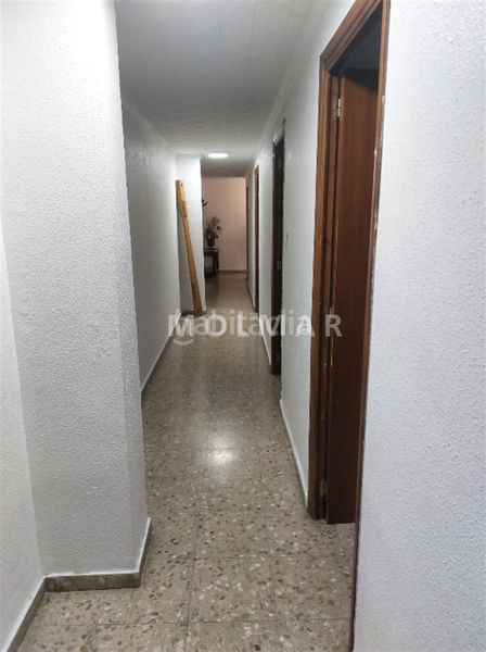 Foto 16829ee9-cb67-4d18-810c-d9d5aafe5b96. Pis a Nules