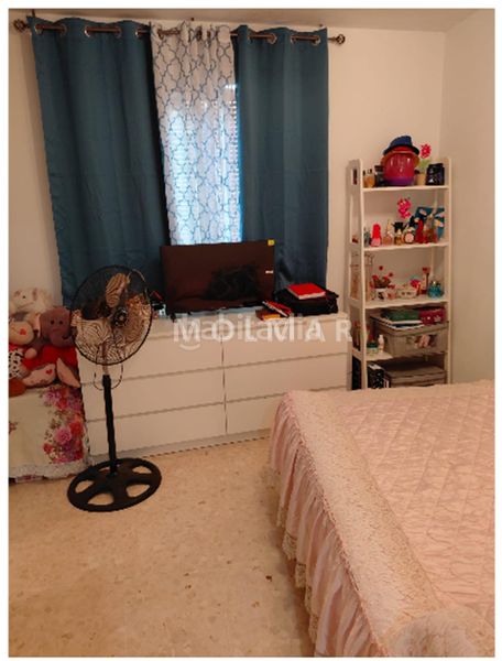 Foto 6517cc08-5719-4e5e-9900-59667dff1775. Pis a Alberic