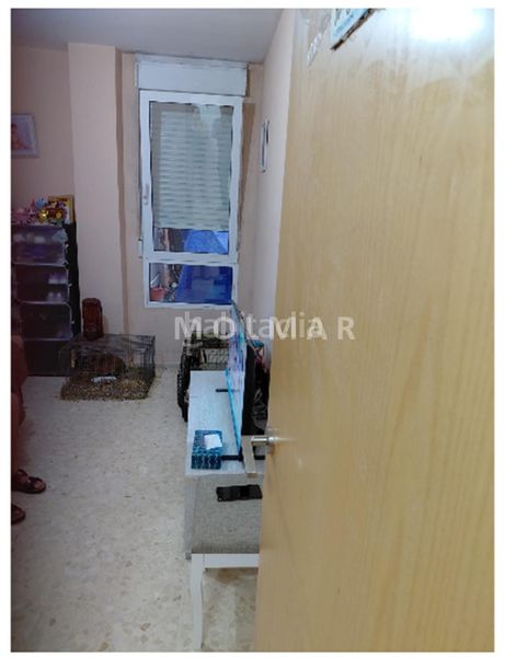 Foto 9c6c1e14-693e-49cd-ba29-64bc81a981dd. Pis a Alberic