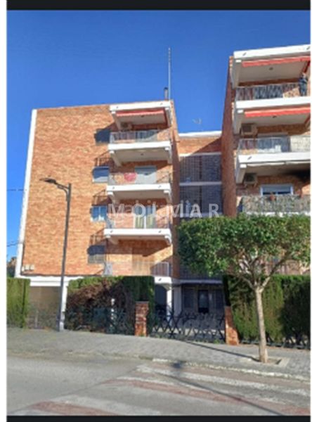 Foto 4eab6fc0-5cec-4ae6-bb7b-dce2329ee1ca. Pis a Viver