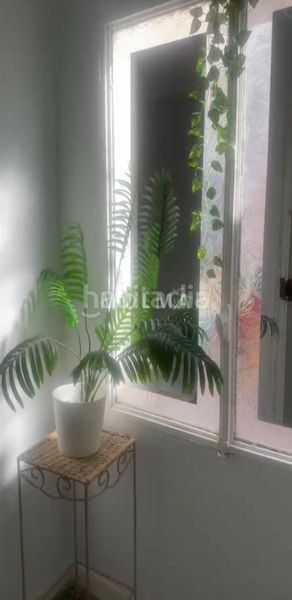 Foto 0dfe704e-04af-4ca8-9164-ec74fbf8fbc6. Pis a Albaida