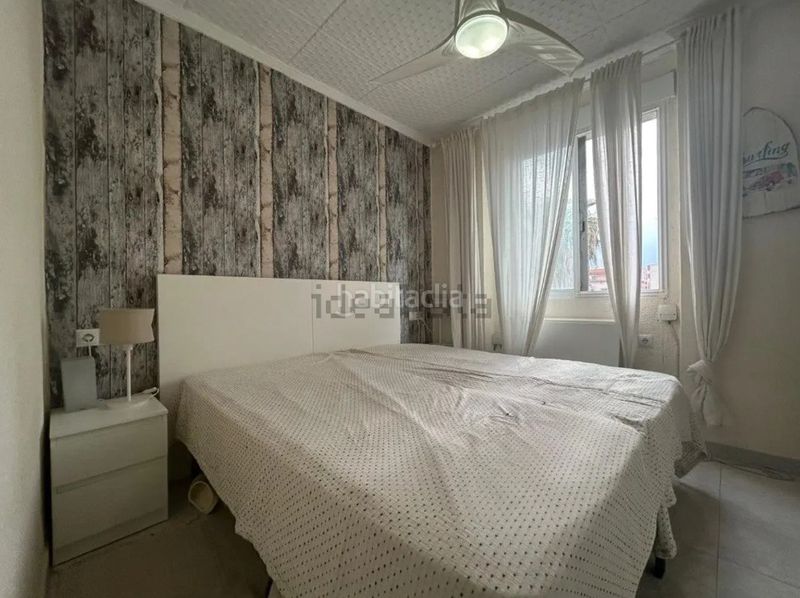 Foto 08f06419-8769-4980-8604-e666cdf22039. Pis a Malva Rosa Valencia