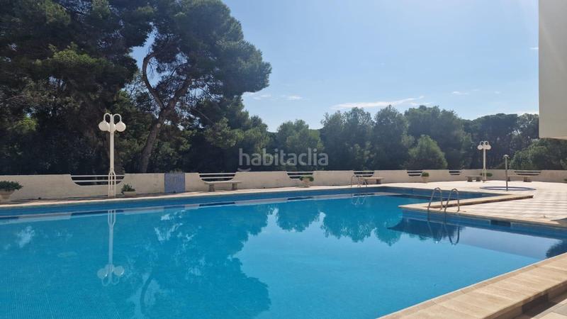 Foto 3b1a8942-0003-4282-896f-f6bc6e4d1333. Affitto appartamento con parcheggio piscina in El Saler Valencia