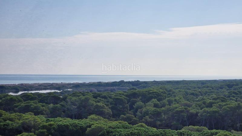 Foto 64ec6c80-62e5-4d39-98a2-931ce9759852. Affitto appartamento con parcheggio piscina in El Saler Valencia